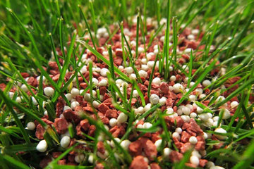 5 Benefits of Using Slow Release Fertilizer for Your Plants