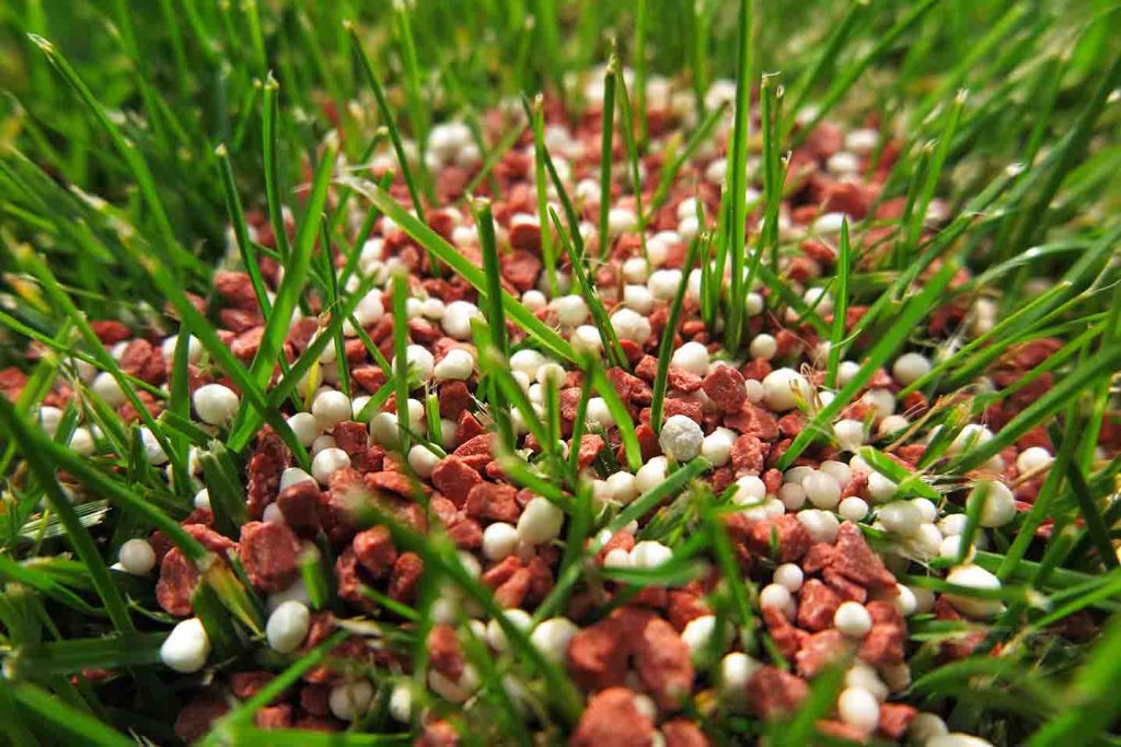 5 Benefits of Using Slow Release Fertilizer for Your Plants